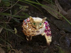 Temple St. Clair的魔法動(dòng)物園