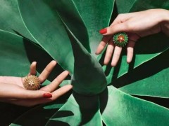卡地亞推出全新Cactus de Cartier系列珠寶