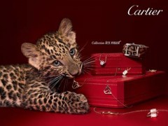 卡地亞豹子頭手鐲價(jià)格|卡地亞豹子官方報(bào)價(jià)