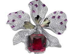 紅寶石收藏指南