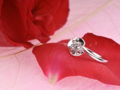 鄭州0.3克拉鉆戒多少錢？