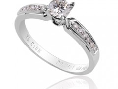 結婚戒指經(jīng)典款2010年都是有哪些