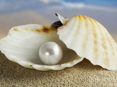 勿入清潔雷區(qū) 注意這些不同珠寶的清洗重點(diǎn)