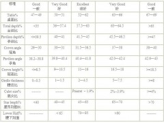 鉆石切工等級“EX”“VG”“G”都代表什么意思?