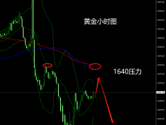 杜康：黃金反彈還是空，早盤1640壓力空！