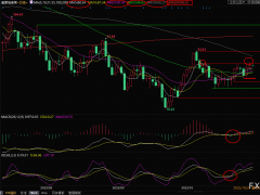 美原油短線交易策略：庫存大減蓋過鮑威爾鷹派講話影響，多頭仍掌控局勢