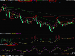 美原油交易策略：擔(dān)憂供給緊張，多頭圖謀擴(kuò)大戰(zhàn)果