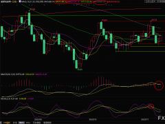 美原油短線交易策略：全球股市普遍上漲，提振原油多頭信心