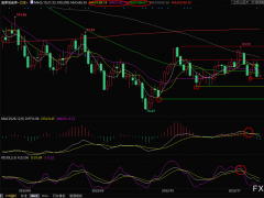 美原油短線交易策略：需要擔(dān)憂擔(dān)憂升溫，警惕大跌風(fēng)險(xiǎn)
