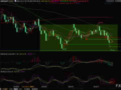 美原油交易策略：感恩節(jié)前油價迎多重考驗，警惕多空來回拉鋸