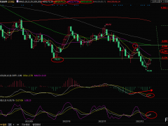 美原油交易策略：API原油庫(kù)存大增令多頭有所顧忌，但或難擋油價(jià)漲勢(shì)