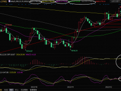 現(xiàn)貨黃金交易策略：美聯(lián)儲(chǔ)進(jìn)一步加息前景抵消美元走軟影響，金價(jià)仍有見(jiàn)頂風(fēng)險(xiǎn)