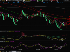 美原油交易策略：庫存下降+假日需求高峰季來臨，多頭劍指80關口上方