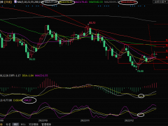 美原油交易策略：臨近圣誕假期，市場(chǎng)關(guān)注俄羅斯石油價(jià)格上限的反應(yīng)