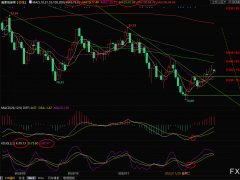 美原油交易策略：關(guān)注美國暴風(fēng)雪影響，油價短線承壓