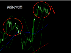杜康：黃金高位震蕩，早盤1865支撐先多！