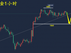 萬錦晟1.10晚間黃金走勢分析，黃金承壓橫盤謹防走回撤！