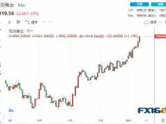 黃金周評：太瘋狂！美通脹與美聯(lián)儲官員“神助攻” 黃金狂飆55美元、下周行情更勁爆？