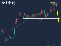 萬錦晟1.12最新黃金走勢分析，CPI公布在即謹防轉(zhuǎn)跌！