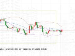 張堯浠：黃金回撤空間調(diào)整有限、中長期前景看漲不變