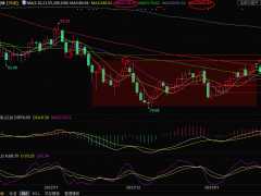 美原油交易策略：美國GDP數(shù)據(jù)緩解需求擔(dān)憂，油價將重拾漲勢？
